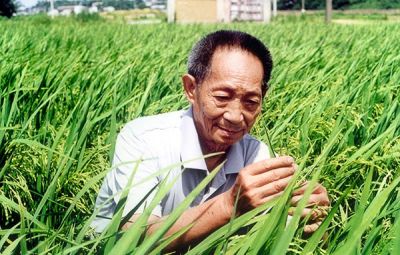 送别“杂交水稻之父”袁隆平院士： 毕生的梦想是让所有人远离饥饿