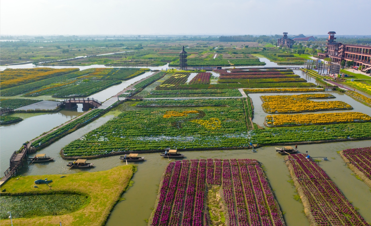 2023年9月26日，游客在江苏省兴化市千垛菊花景区乘坐木船游玩。2.jpg