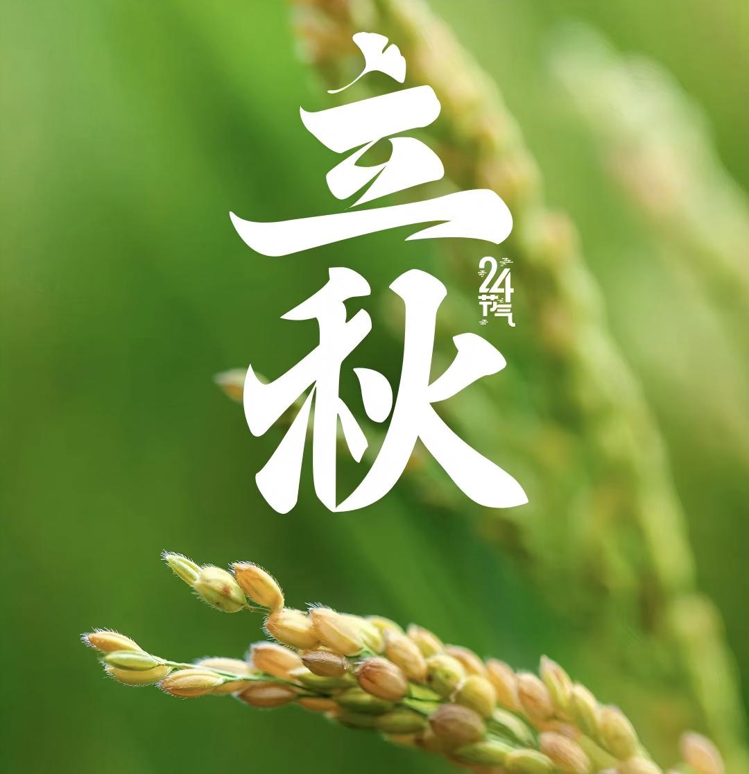 微信图片_2025-08-07_072125_924(1)