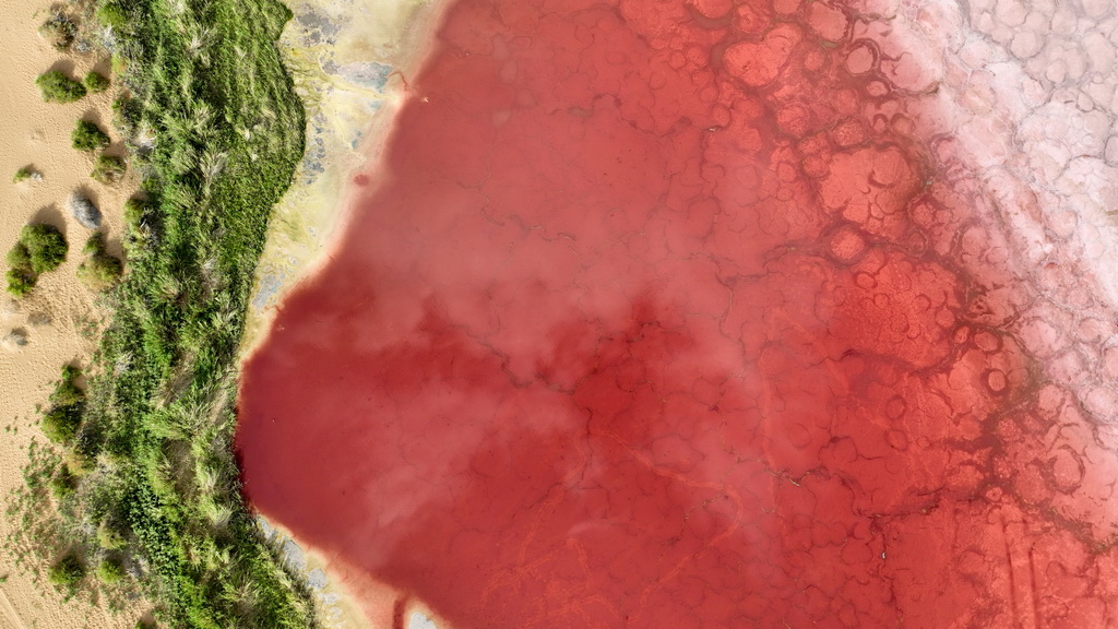 2024年7月30日在内蒙古阿拉善盟阿拉善右旗拍摄的巴丹吉林沙漠中的红海子(无人机照片)。新华社记者 贝赫 摄